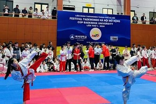 Đặc sắc Festival taekwondo Hà Nội mở rộng 2024