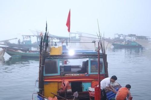 Sốt ruột dự án hậu cần nghề cá 400 tỷ có tốc độ... rùa bò