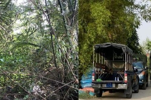 Cận cảnh nơi nghi phạm giết người, cướp của đang lẩn trốn ở Long An
