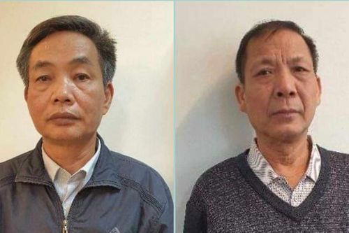 Bắt tạm giam 2 thành viên Tổng công ty Chè Việt Nam