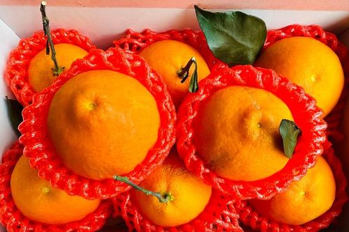 Bia Tết giảm giá vẫn ế ẩm, măng khô tăng 'vù vù'