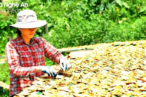 Bia Tết giảm giá vẫn ế ẩm, nhiều loại nông sản tăng 'vù vù'