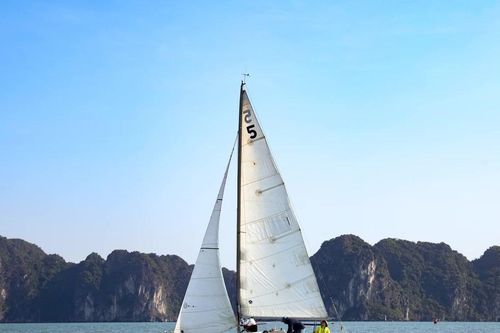 Độc đáo trải nghiệm đua thuyền buồm tại vịnh Hạ Long