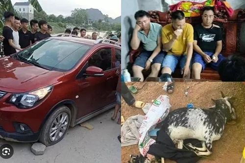 Mở lại phiên tòa '3 cựu công an bắn dê'