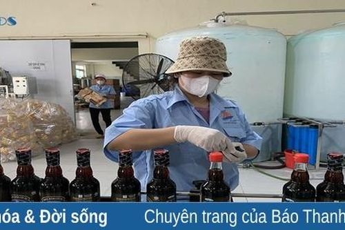 Làng nghề nước mắm truyền thống vào tết
