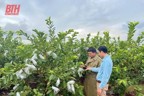 Hà Long phát triển kinh tế, nâng cao thu nhập cho người dân