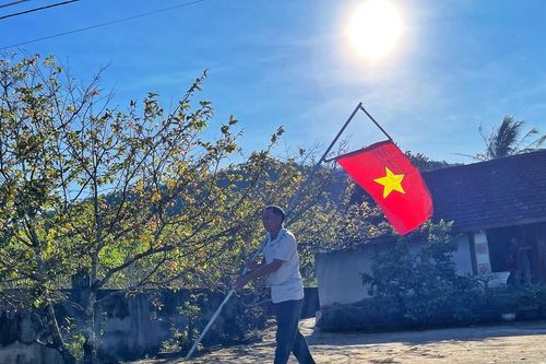 Rực rỡ sắc mai vàng trên cao nguyên Gia Lai