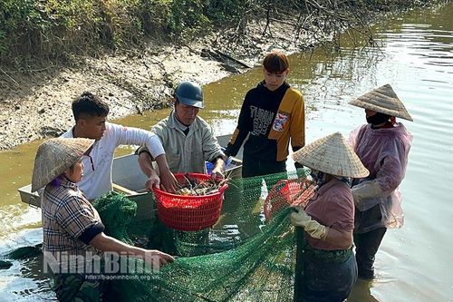 Tăng nhanh giá trị sản xuất trên diện tích canh tác