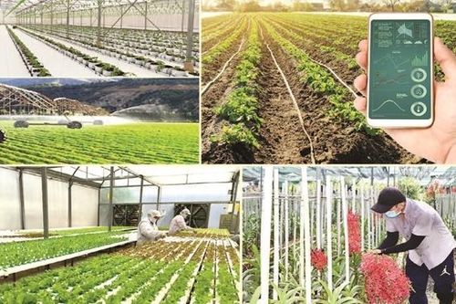Nông nghiệp duy trì tăng trưởng cao nhờ khoa học công nghệ