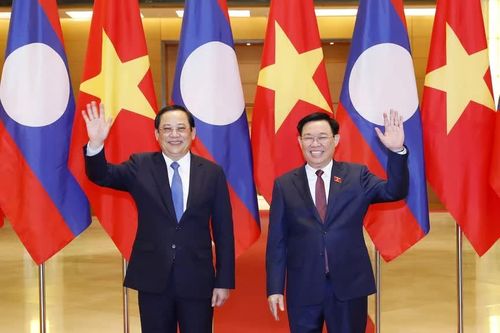 Dành ưu tiên cao nhất cho quan hệ truyền thống đặc biệt Việt Nam - Lào