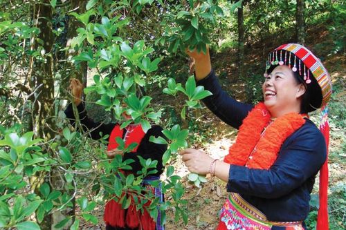 Nông dân thi đua sản xuất, kinh doanh giỏi