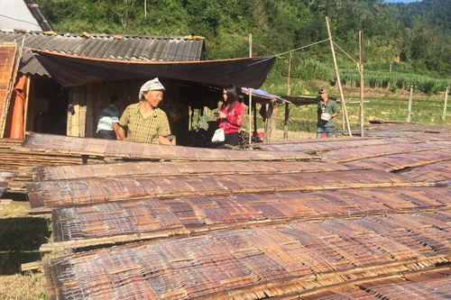 Công nhận Làng nghề truyền thống miến dong Phia Đén, xã Thành Công (Nguyên Bình)
