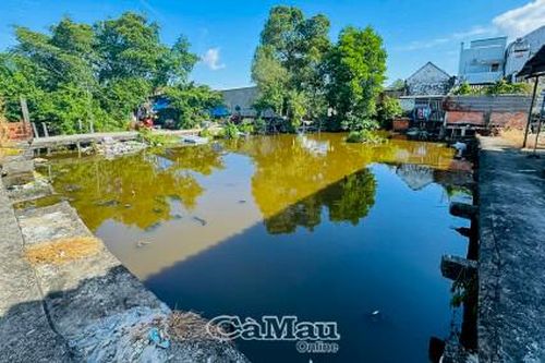 Thói quen làm xấu môi trường
