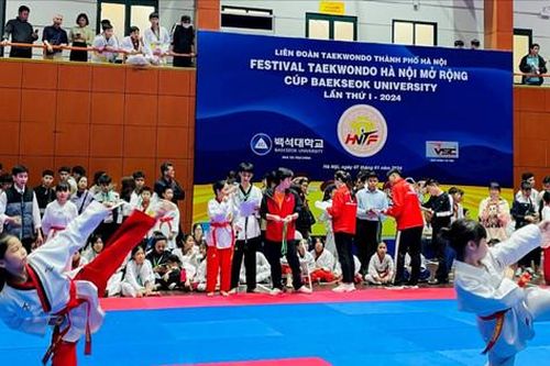 Gần 1.100 võ sinh tranh tài tại Festival Taekwondo Hà Nội mở rộng