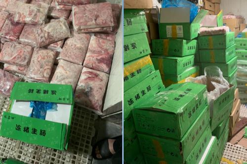 Hà Nội: Thu giữ hơn 1,2 tấn tràng lợn không rõ nguồn gốc xuất xứ