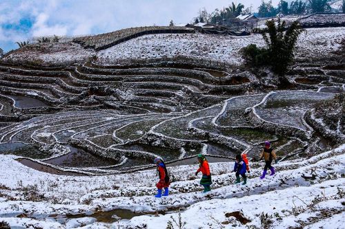 Đi tìm tuyết trắng