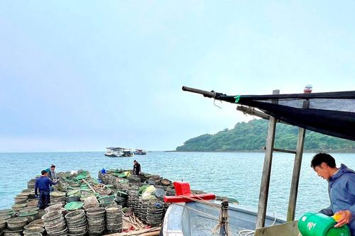 Ngang nhiên 'chiếm' đảo nuôi thủy sản?