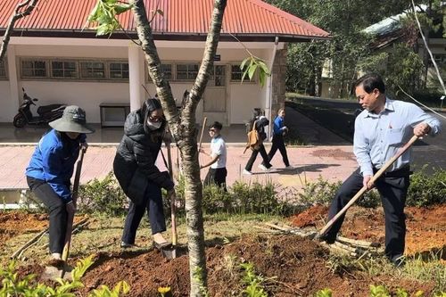 Đà Lạt trồng hơn 1 triệu cây xanh trong năm 2024