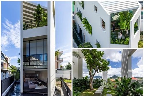 Khám phá ngôi nhà với khu vườn trên cao độc đáo ở Nha Trang
