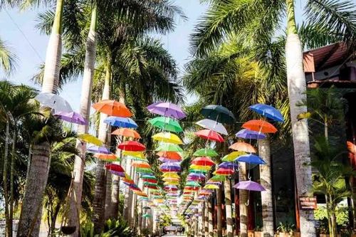 Cần Thơ xây dựng sản phẩm phù hợp với mùa du lịch cuối năm