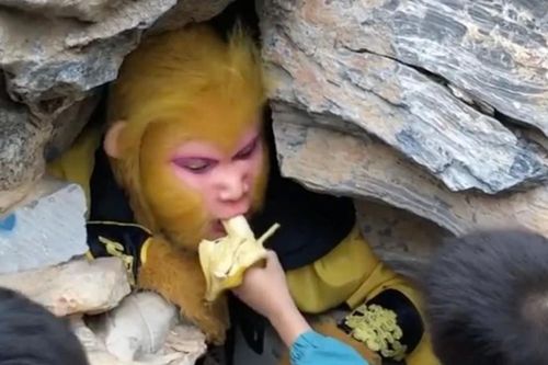 Độc lạ công việc 'ăn, chơi' rồi lĩnh lương tại Trung Quốc
