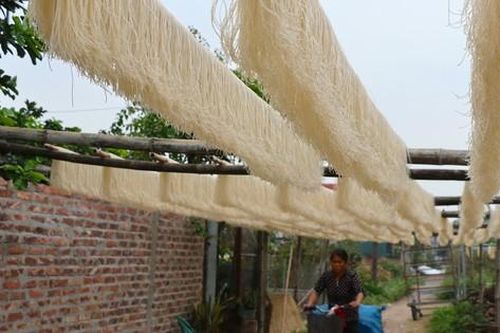 Làng miến dong Dương Liễu 'chạy đua' với đơn hàng Tết