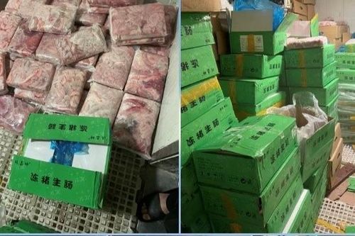 Tịch thu hơn 1,2 tấn tràng lợn không rõ nguồn gốc đã bốc mùi
