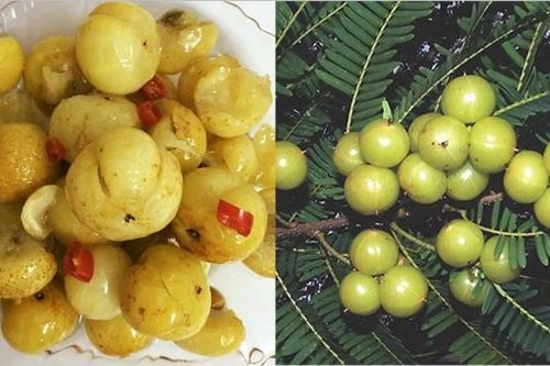 Núi rừng Tây Bắc Việt Nam có một loại quả được hội chị em 'săn lùng' vì hương vị độc lạ