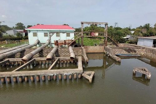 Cà Mau: Niềm vui trúng mùa, trúng giá khi hệ thống thủy lợi hoàn thiện