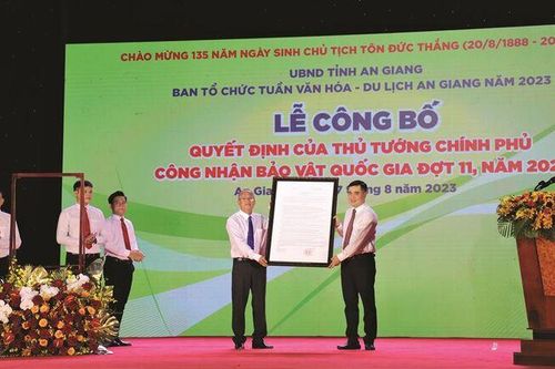 Bảo tồn, phát huy giá trị di sản văn hóa