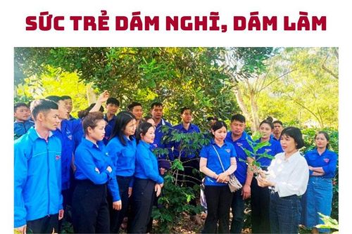 Sức trẻ dám nghĩ, dám làm