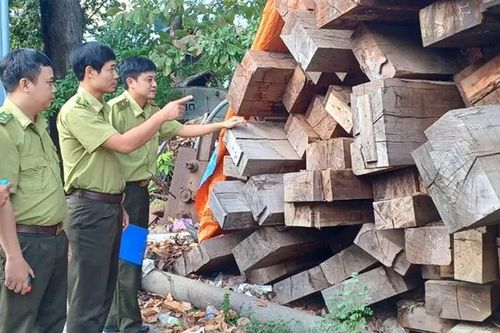 Phát hiện, xử lý 154 vụ vi phạm Luật Lâm nghiệp