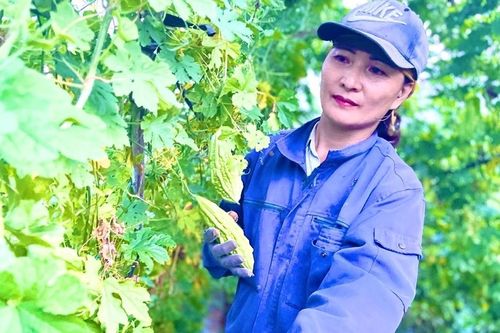 Thay đổi tư duy sản xuất, nâng cao thu nhập
