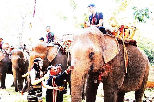 Cúng sức khỏe cho voi