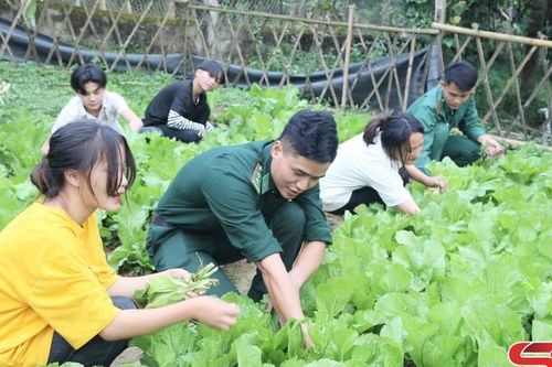 Vườn rau sạch cho em
