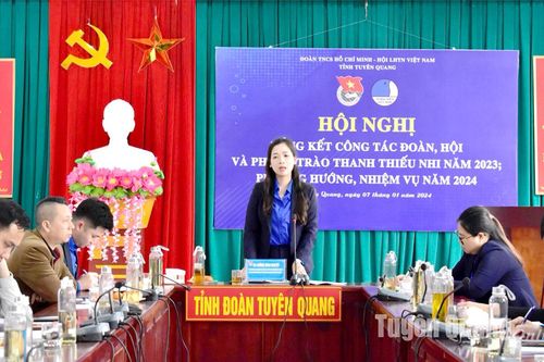 Hội LHTN Việt Nam tỉnh phấn đấu hoàn thành 12 chỉ tiêu trong năm 2024