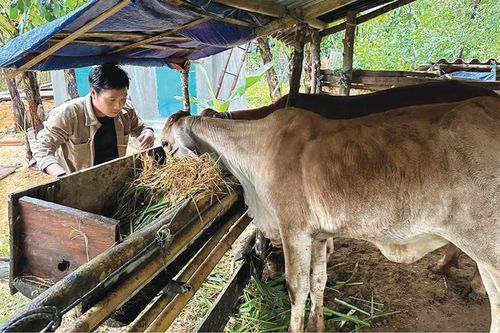 Trao sinh kế giúp đồng bào dân tộc thiểu số thoát nghèo