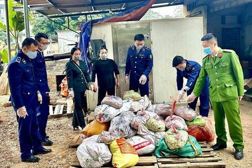 Nộp ngân sách hơn 36 tỷ đồng từ xử lý vi phạm an toàn thực phẩm