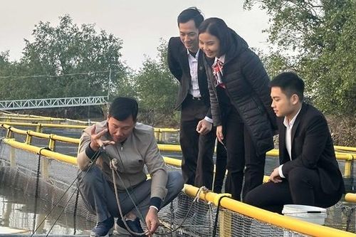 'Bệ đỡ' cho nông dân nuôi chí làm giàu