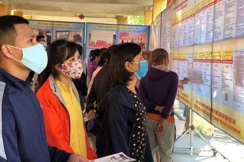 Nghề 'ở nhà người khác' xuyên Tết, kiếm chục triệu đồng