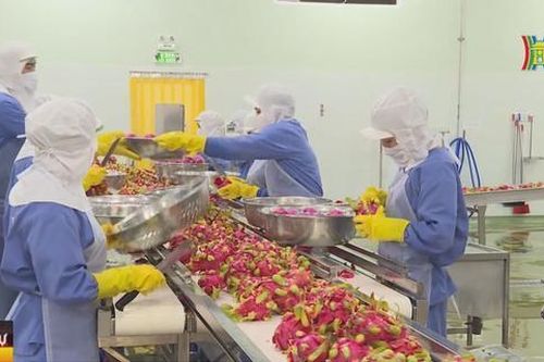 Năm 2024, tập trung ưu tiên cho tăng trưởng kinh tế