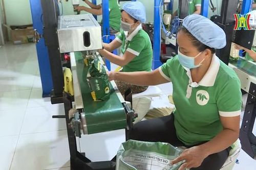 Dồn lực tăng cường phục hồi kinh tế 2024