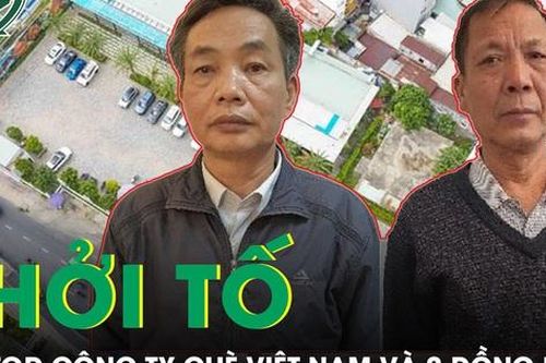 Cựu Tổng giám đốc Công ty Chè Việt Nam và 2 đồng phạm bị khởi tố, bắt tạm giam