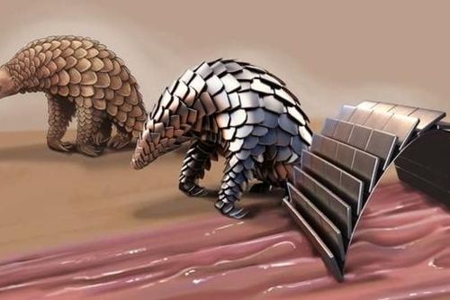 Công nghệ lấy cảm hứng từ thiên nhiên