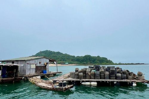 Sau phản ánh của Đại Đoàn Kết, huyện Vân Đồn xử lý việc 'chiếm' đảo nuôi thủy sản