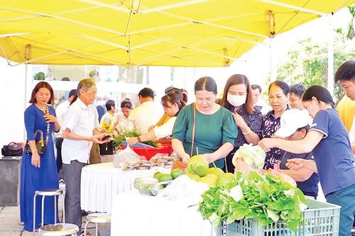 Thúc đẩy tiêu thụ nông sản qua sàn thương mại điện tử