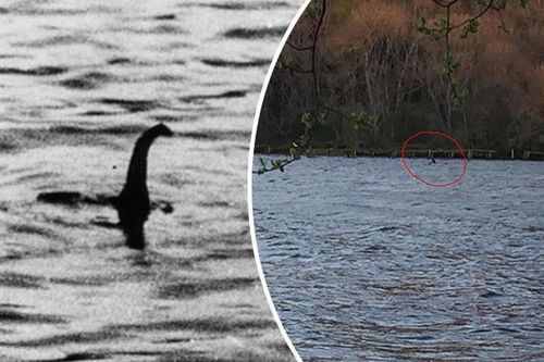 Tuyên bố nóng: 'Quái vật hồ Loch Ness có nhiều anh em đang ẩn nấp'?