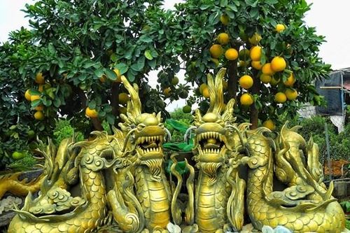 Cận cảnh chậu bưởi hình rồng trăm triệu hút đại gia chơi Tết