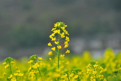 Mùi vị yêu thương tháng Chạp