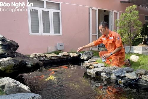 'Công viên xanh' trong lòng Nhà máy Thủy điện Bản Vẽ
